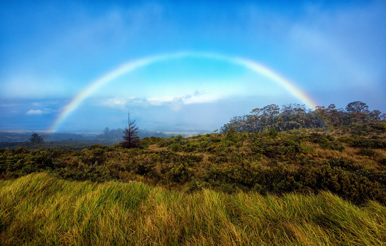 Фото обои небо, деревья, горы, радуга, Гавайи, rainbow, Maui, National park