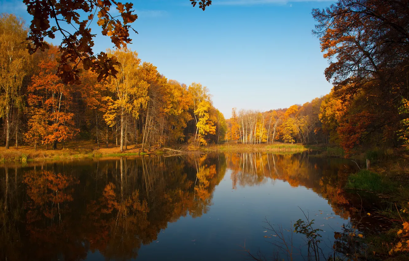 Фото обои осень, небо, отражения, деревья, природа, озеро, пруд, краски