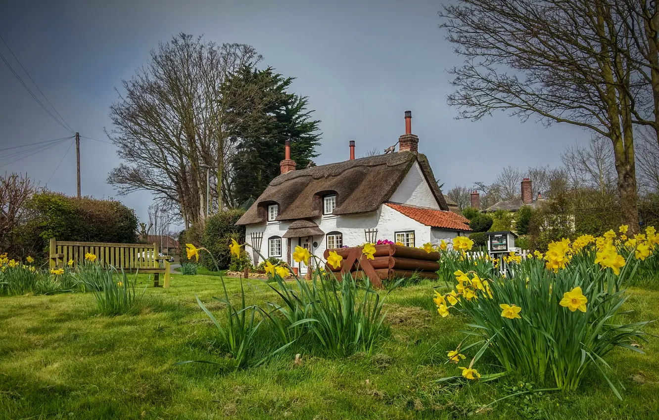 Фото обои Англия, весна, домики, нарциссы, Appleby