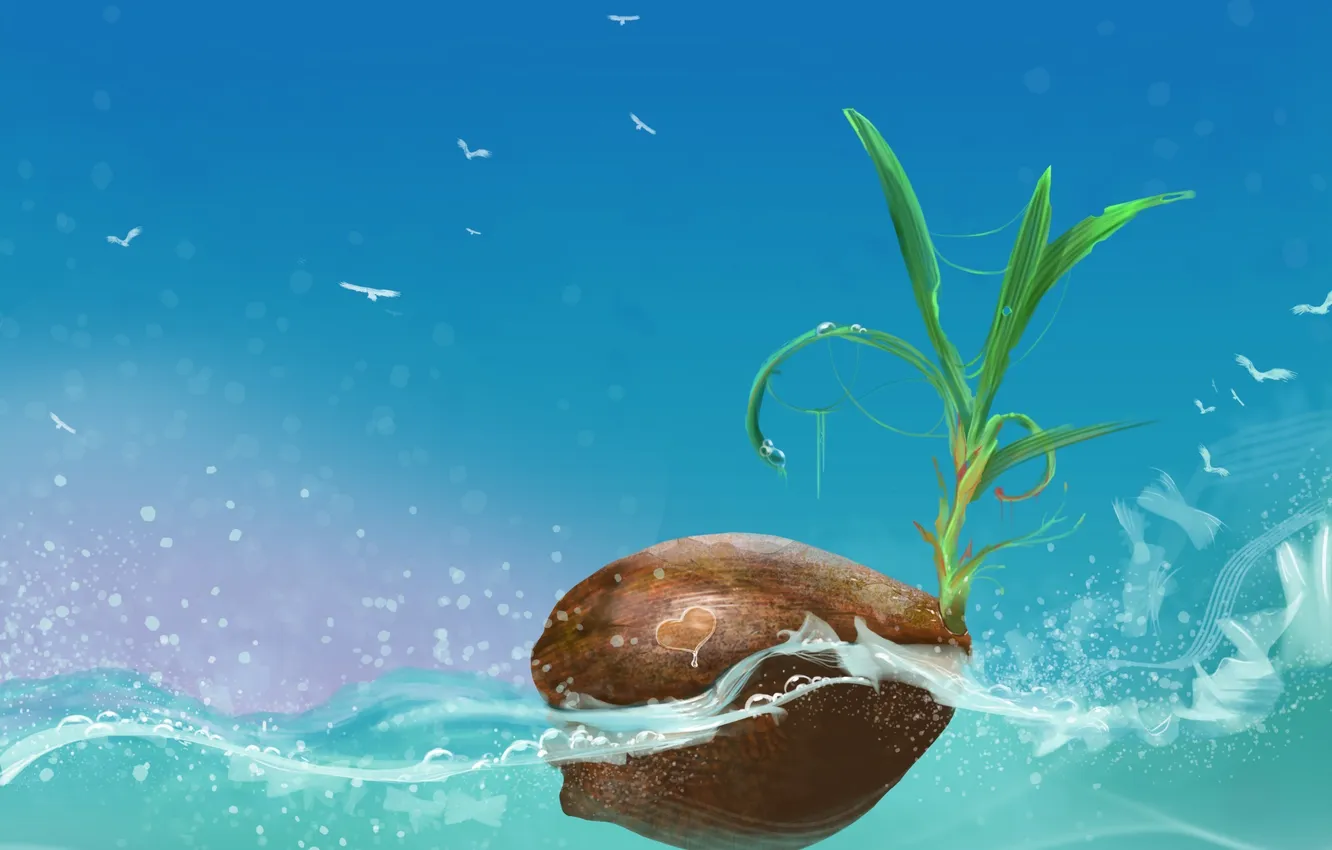 Фото обои море, листья, вода, птицы, росток, кокос, орех, арт