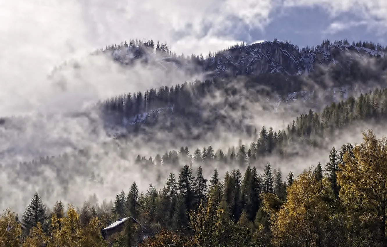 Фото обои крыша, лес, небо, облака, деревья, туман, домик