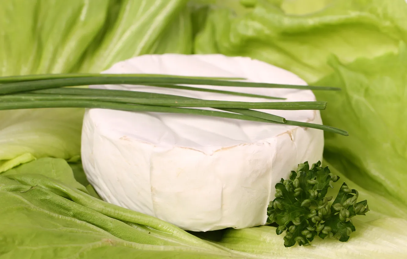 Фото обои зелень, сыр, лук, салат