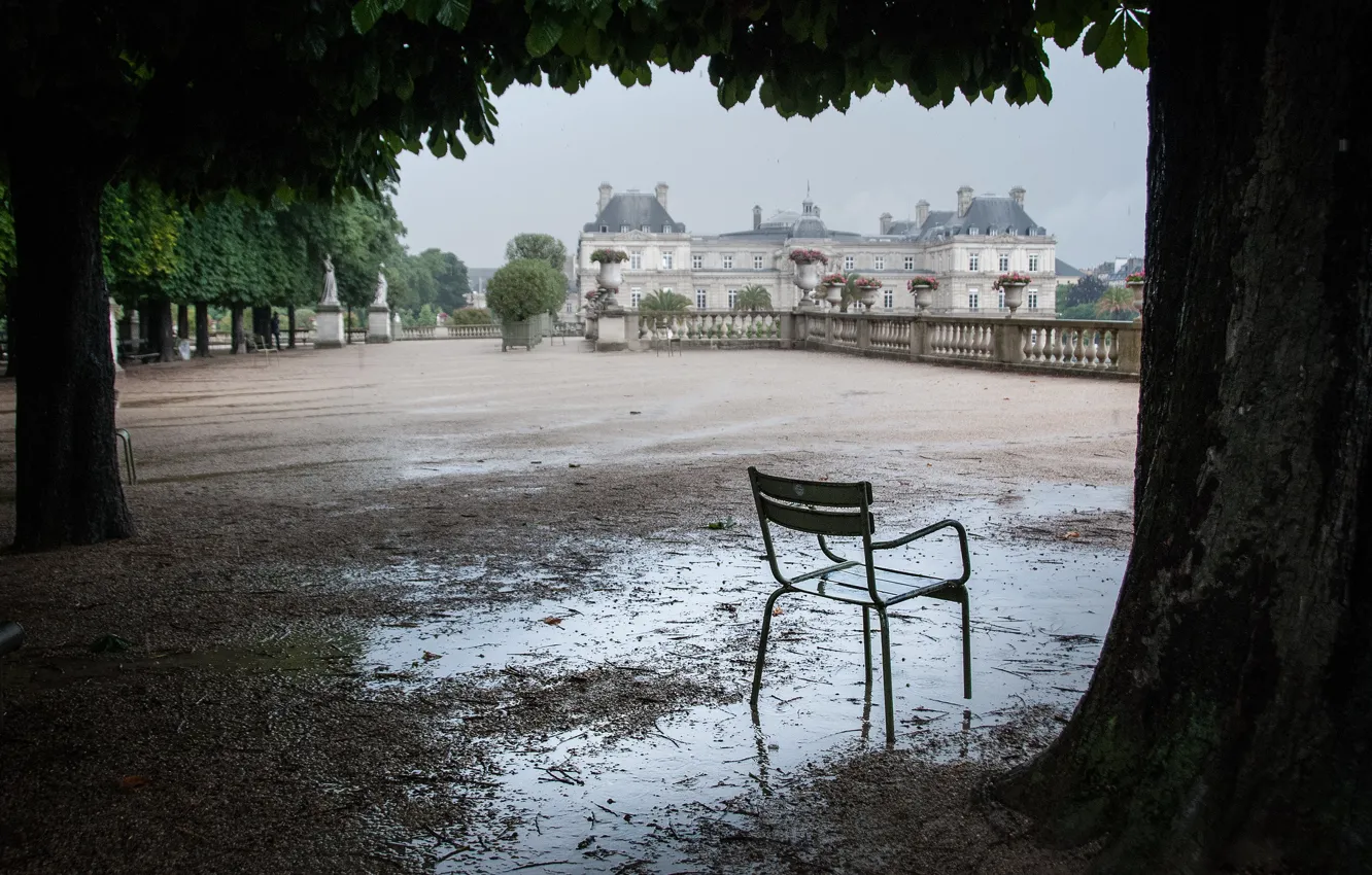 Фото обои деревья, лужа, стул, после дождя, Люксембург, терраса