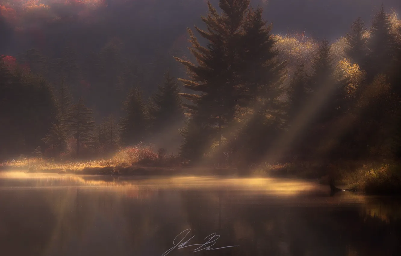 Фото обои осень, лес, свет, природа, утро, дымка, водоем