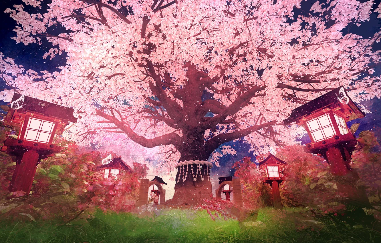 Фото обои сакура, фонари, цветение, Touhou Project, by K&P