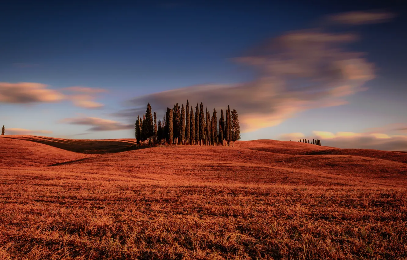 Фото обои поле, облака, деревья, Италия, Italy, кипарисы, Тоскана, Tuscany