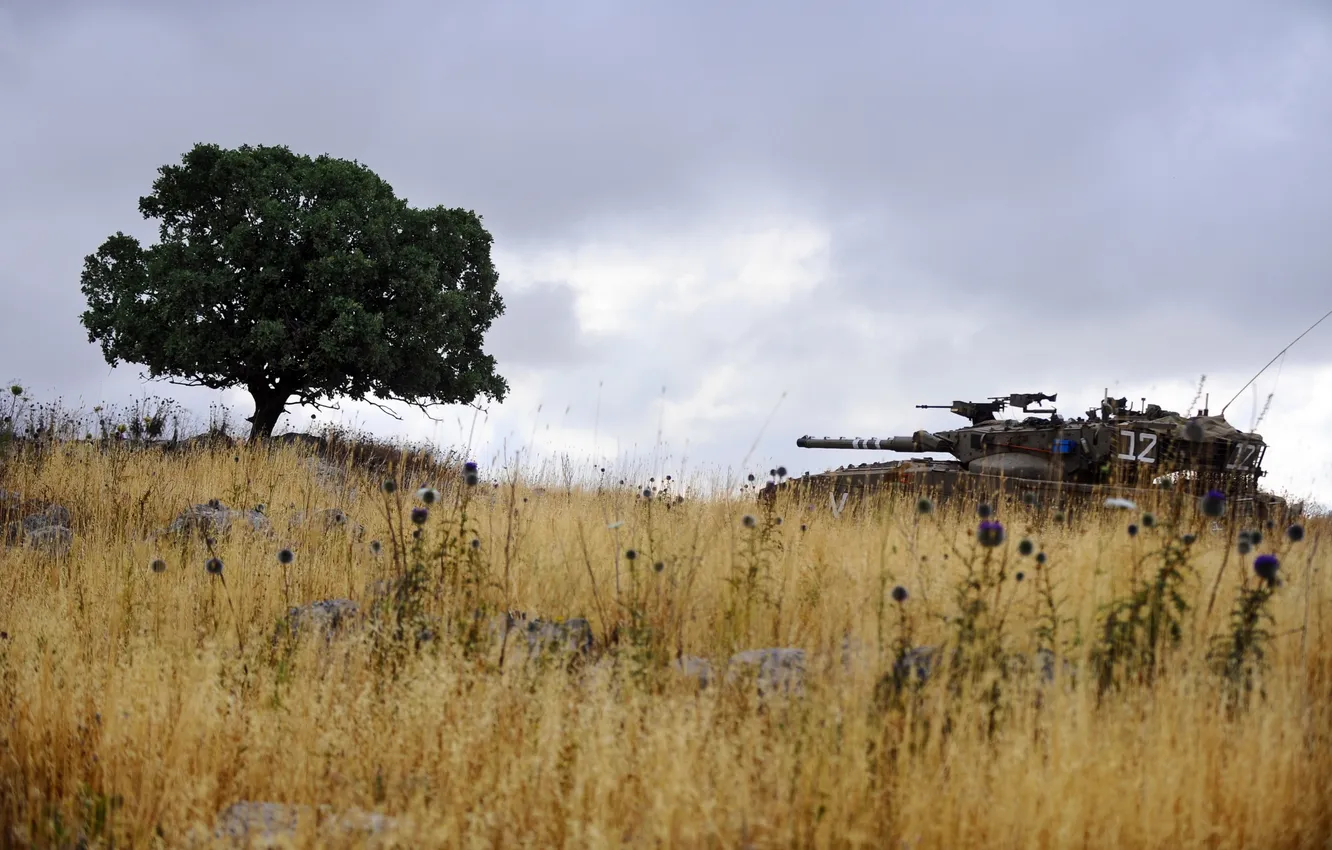 Фото обои поле, оружие, танк