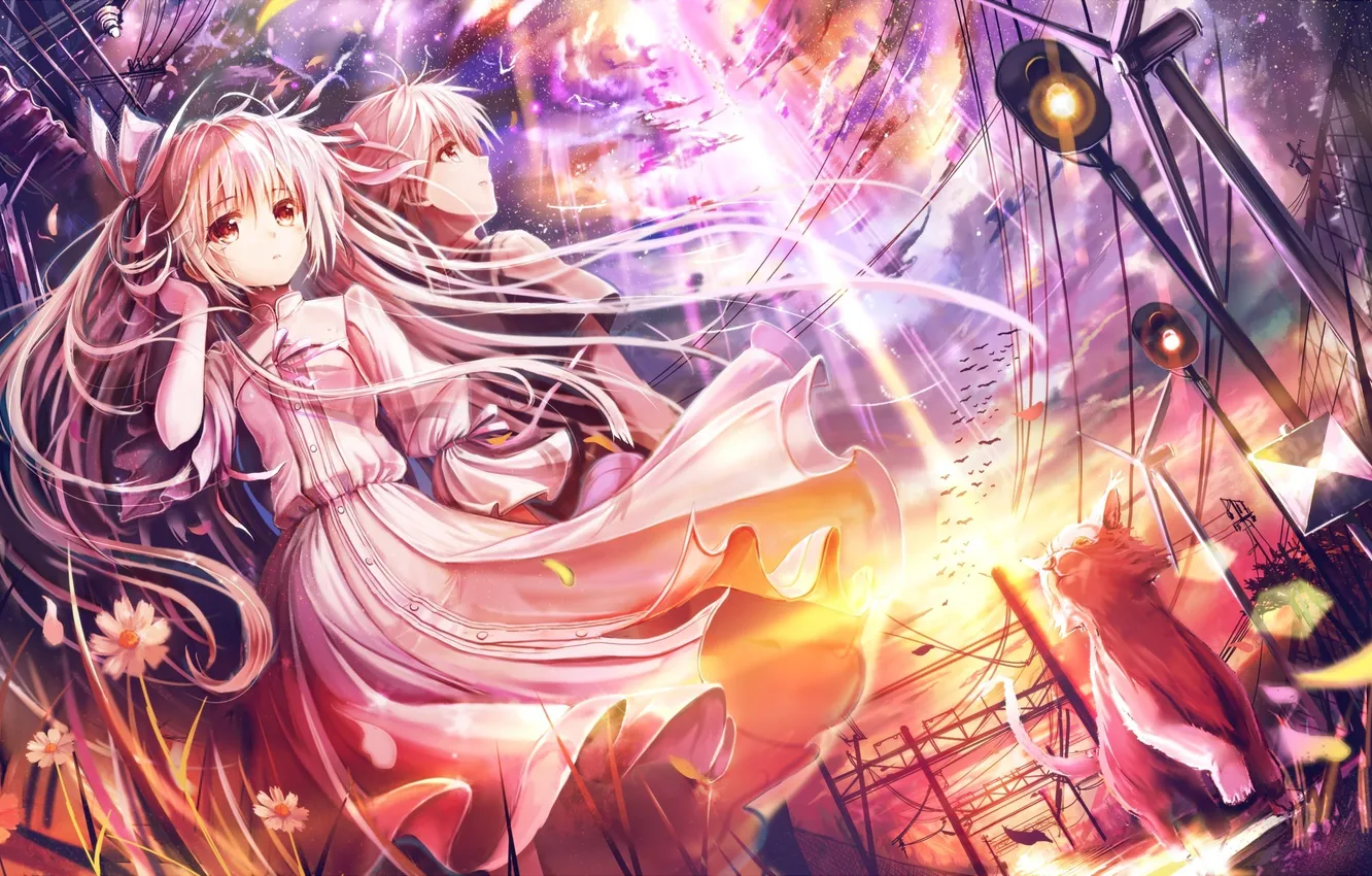 Фото обои кот, девушка, облака, закат, цветы, ветер, платье, мужчина