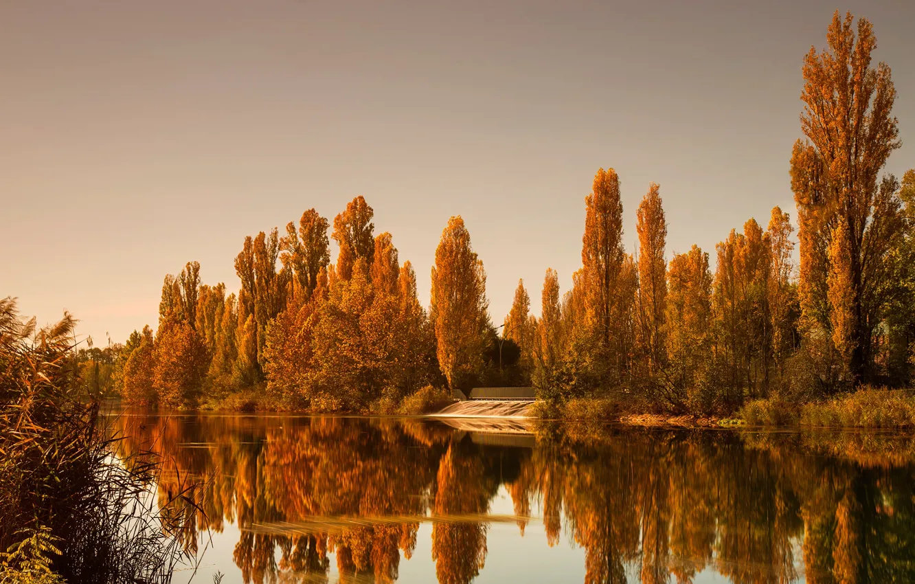 Фото обои осень, лес, небо, вода, деревья, отражение, река, желтые