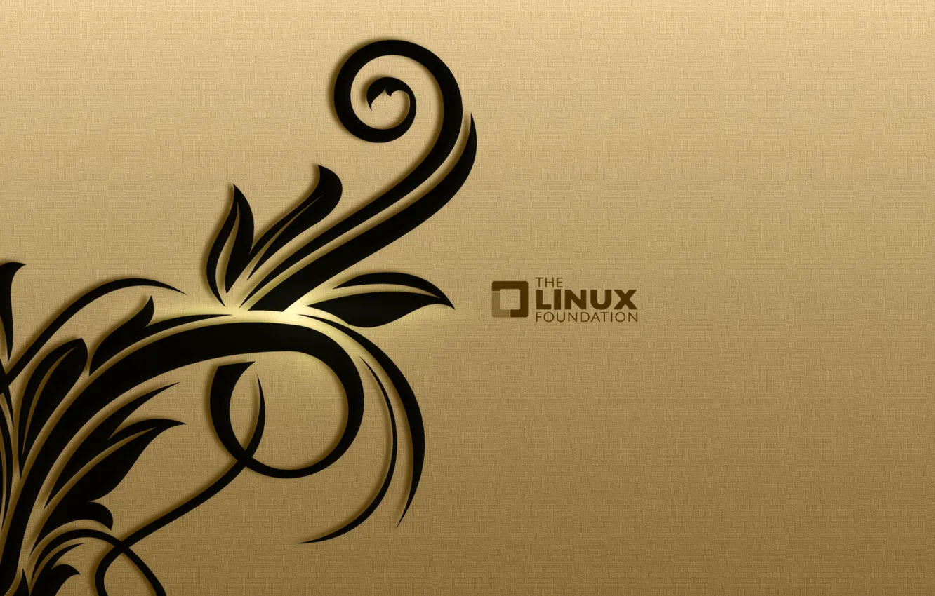 Фото обои цветы, фон, узор, контраст, Linux, рельеф, Foundation