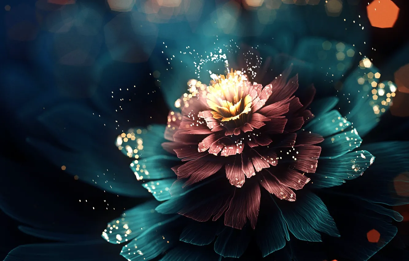 Фото обои цветок, свет, абстракция, лепестки