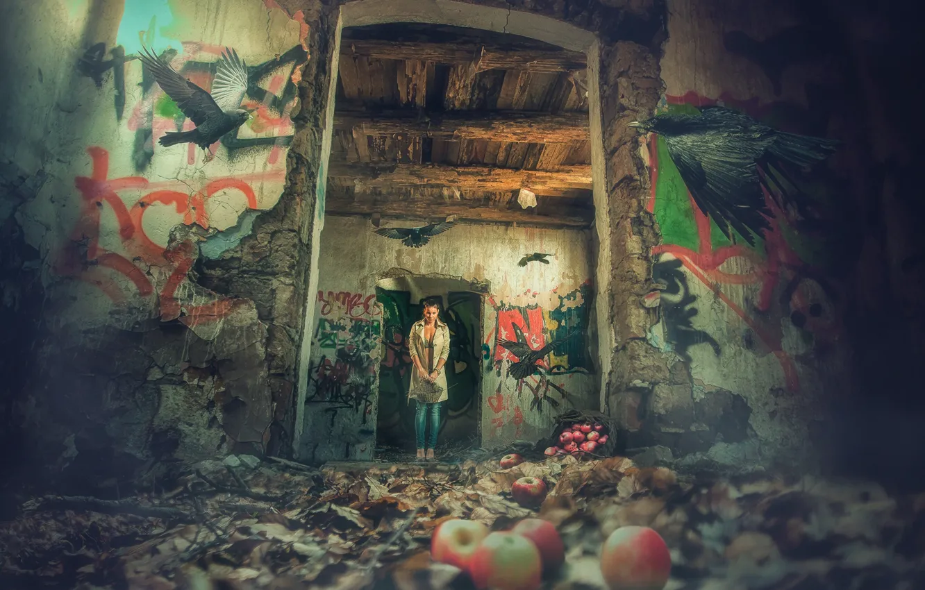 Фото обои девушка, птицы, корзина, яблоки, заброшенный дом