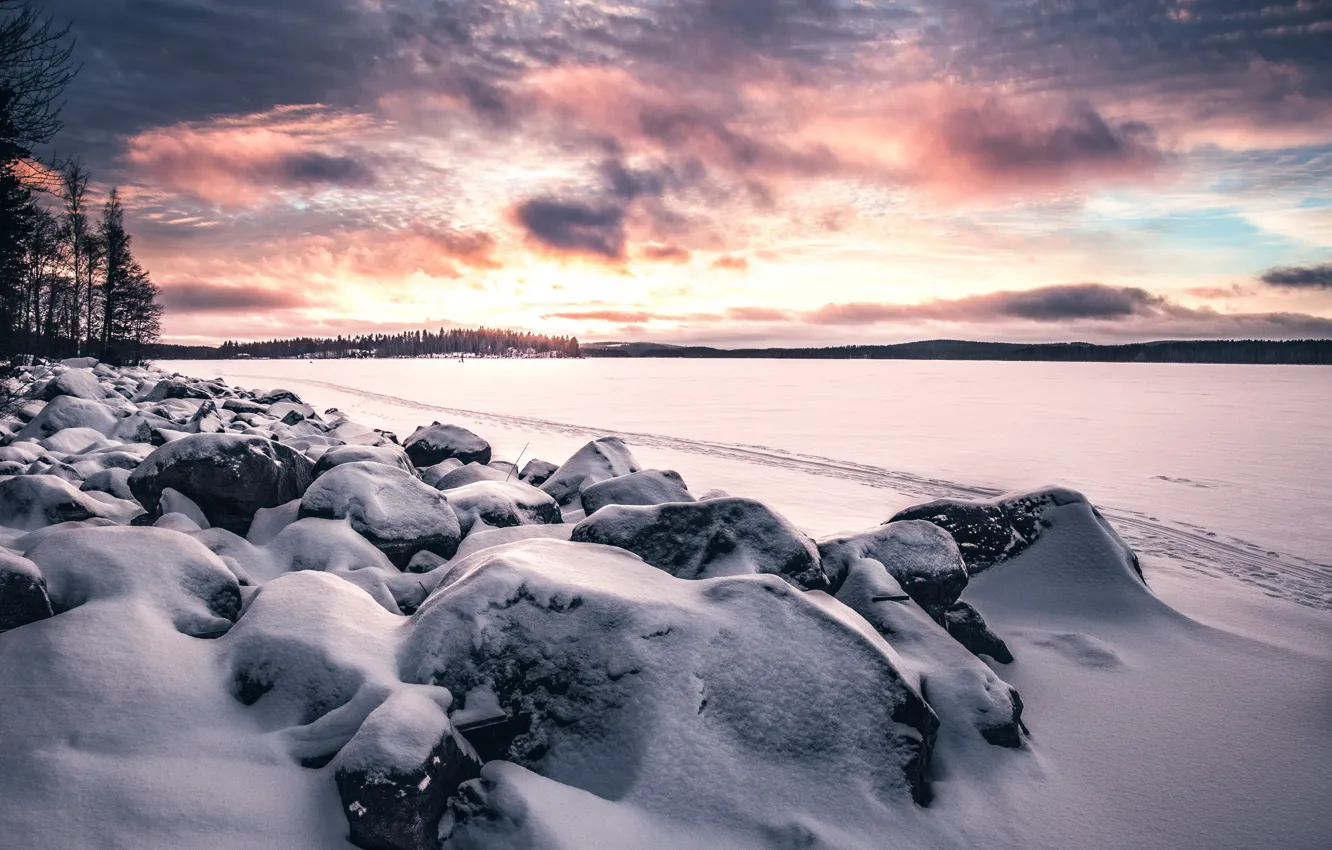 Фото обои зима, поле, снег, закат
