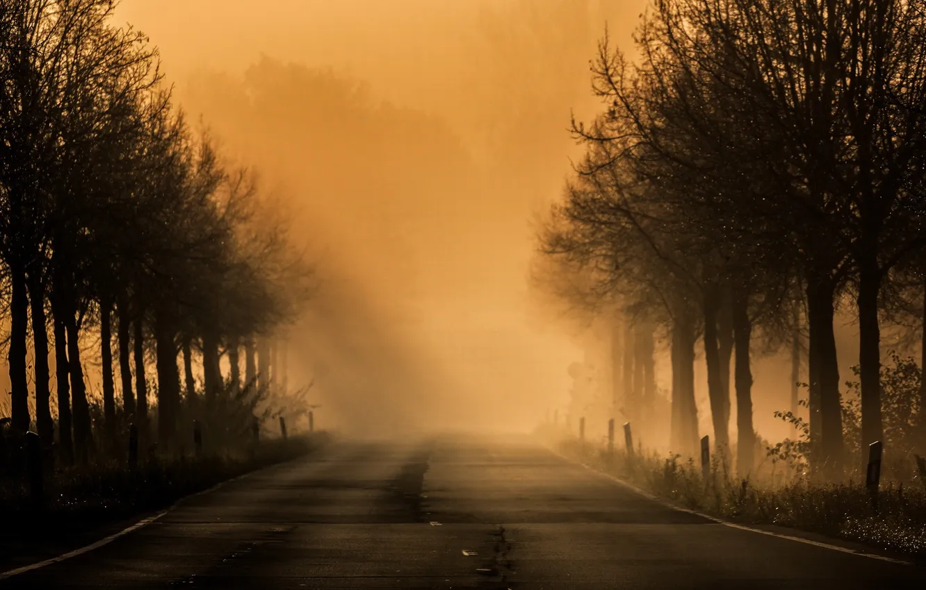 Фото обои дорога, ночь, туман