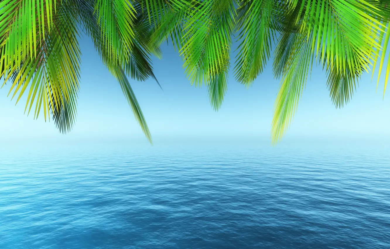 Фото обои море, пляж, лето, небо, пальмы, summer, beach, sea