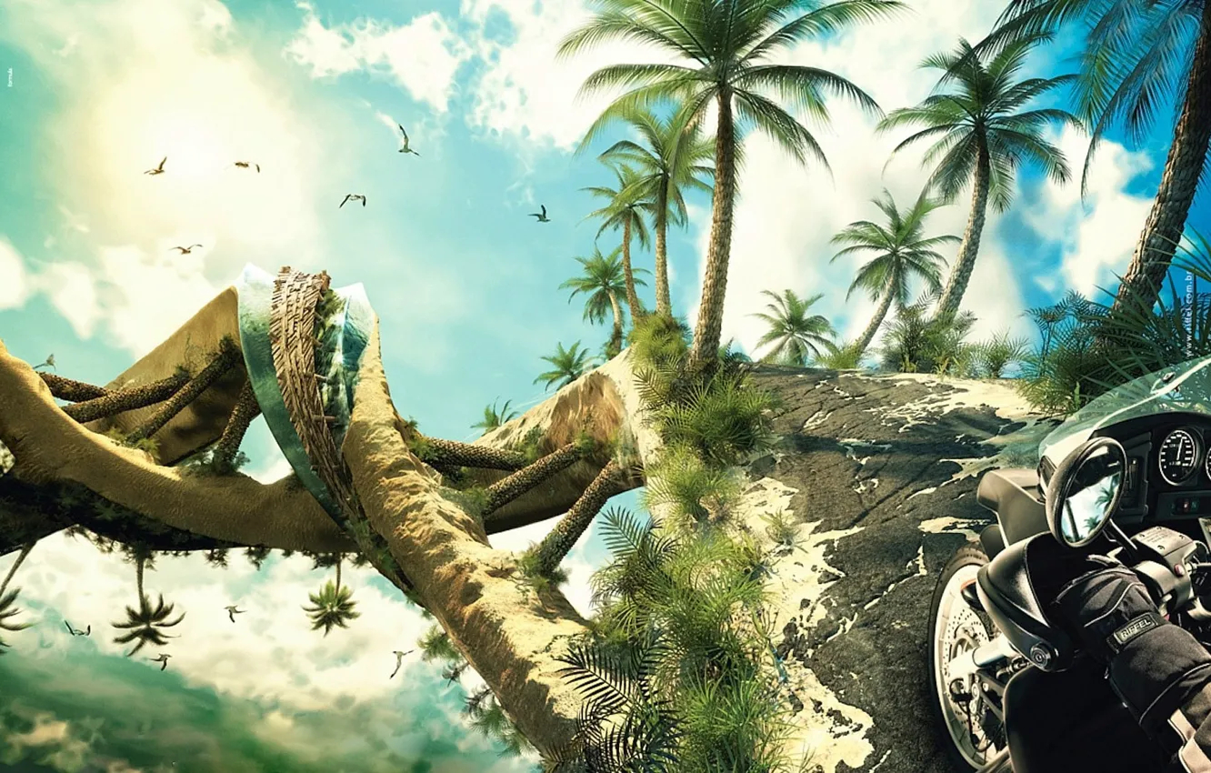 Фото обои пальмы, спираль, Мотоцикл
