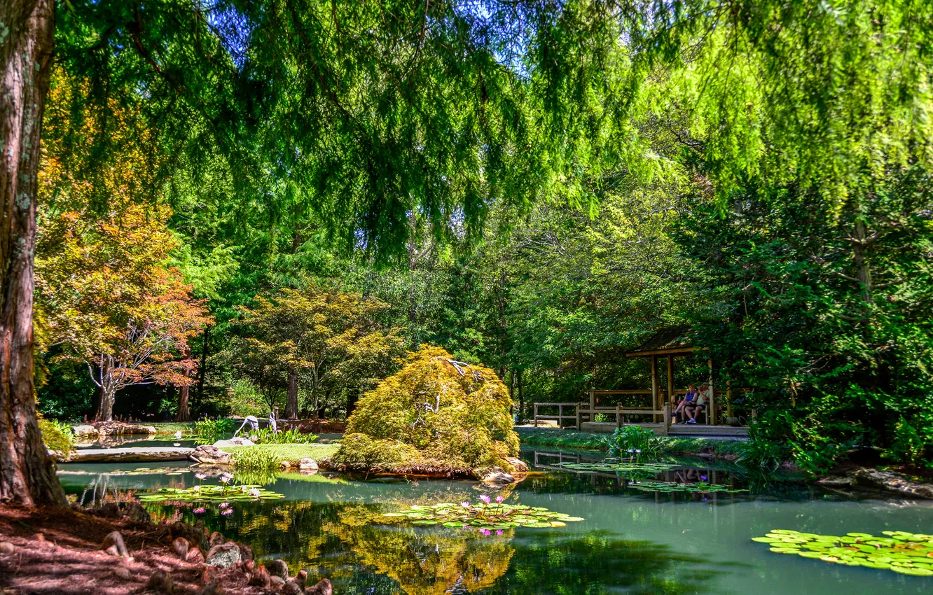 Фото обои Деревья, Пруд, Кусты, США, Сады, Gibbs Gardens
