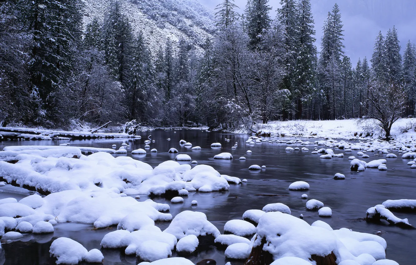 Фото обои лес, снег, ручей