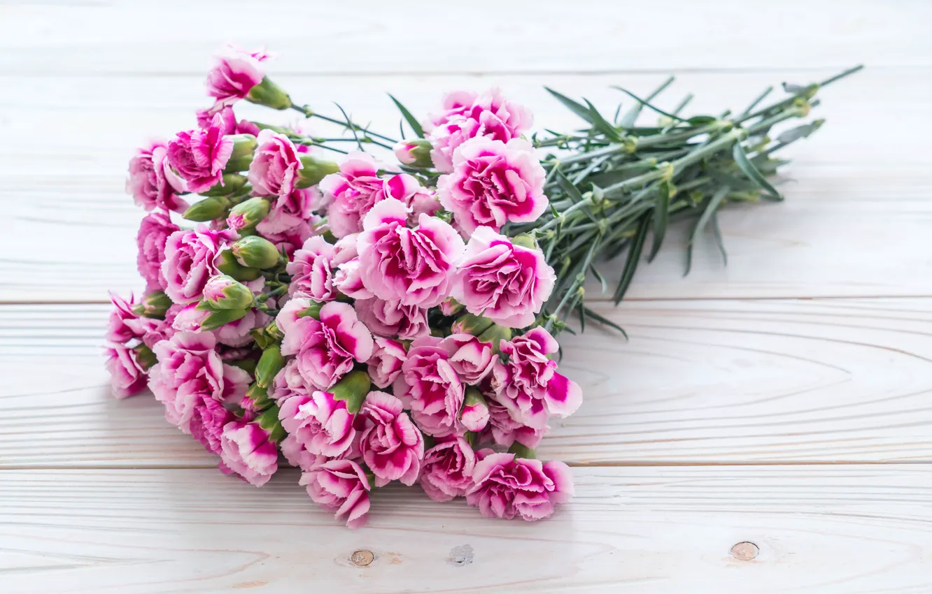 Фото обои цветы, розовые, wood, pink, flowers, гвоздики