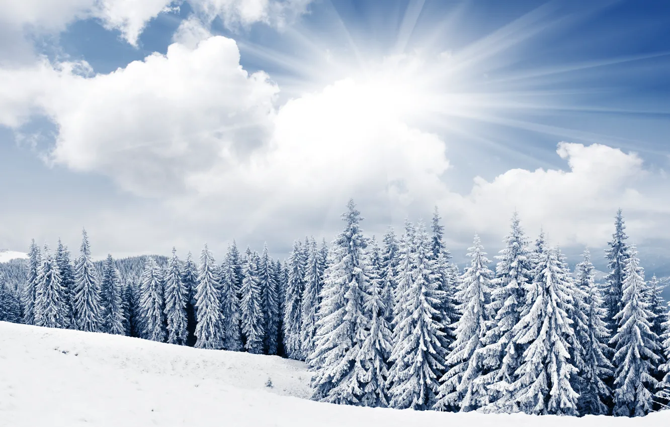 Фото обои зима, небо, солнце, облака, снег, деревья, горы, ели