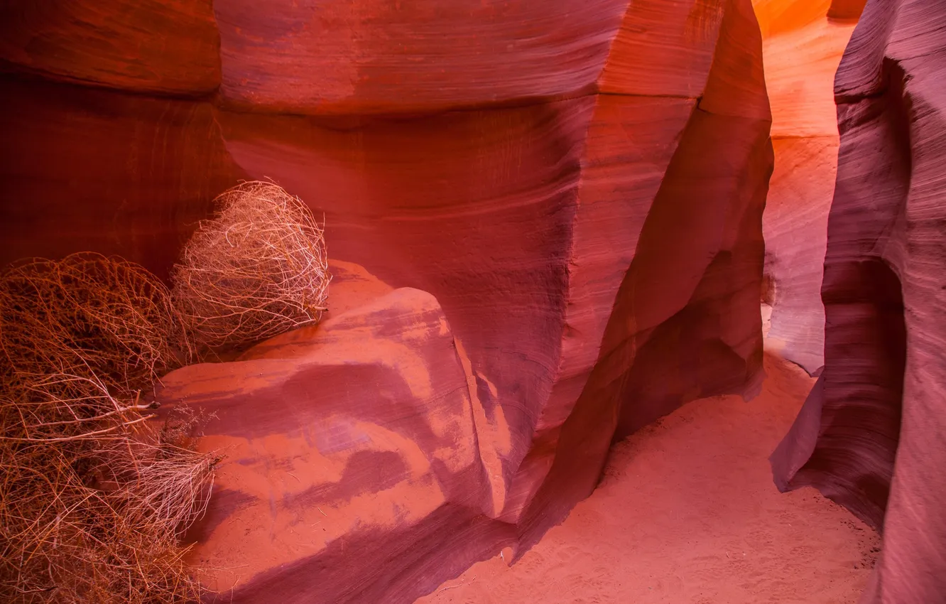 Фото обои краски, Аризона, ущелье, США, каньон антилопы