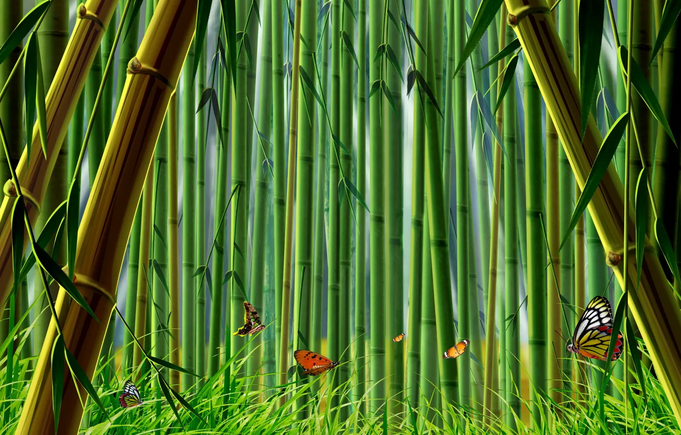 Фото обои трава, бабочки, бамбук