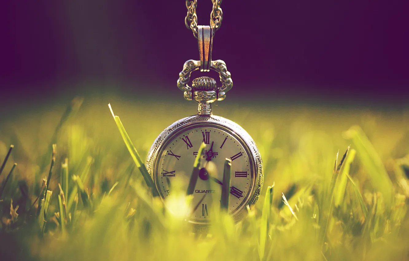 Фото обои зелень, трава, макро, свет, природа, время, часы
