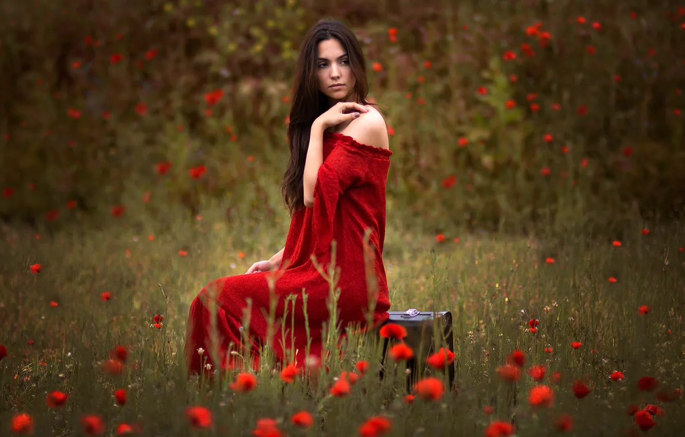 Фото обои поле, девушка, цветы, маки, брюнетка, чемодан, красное платье