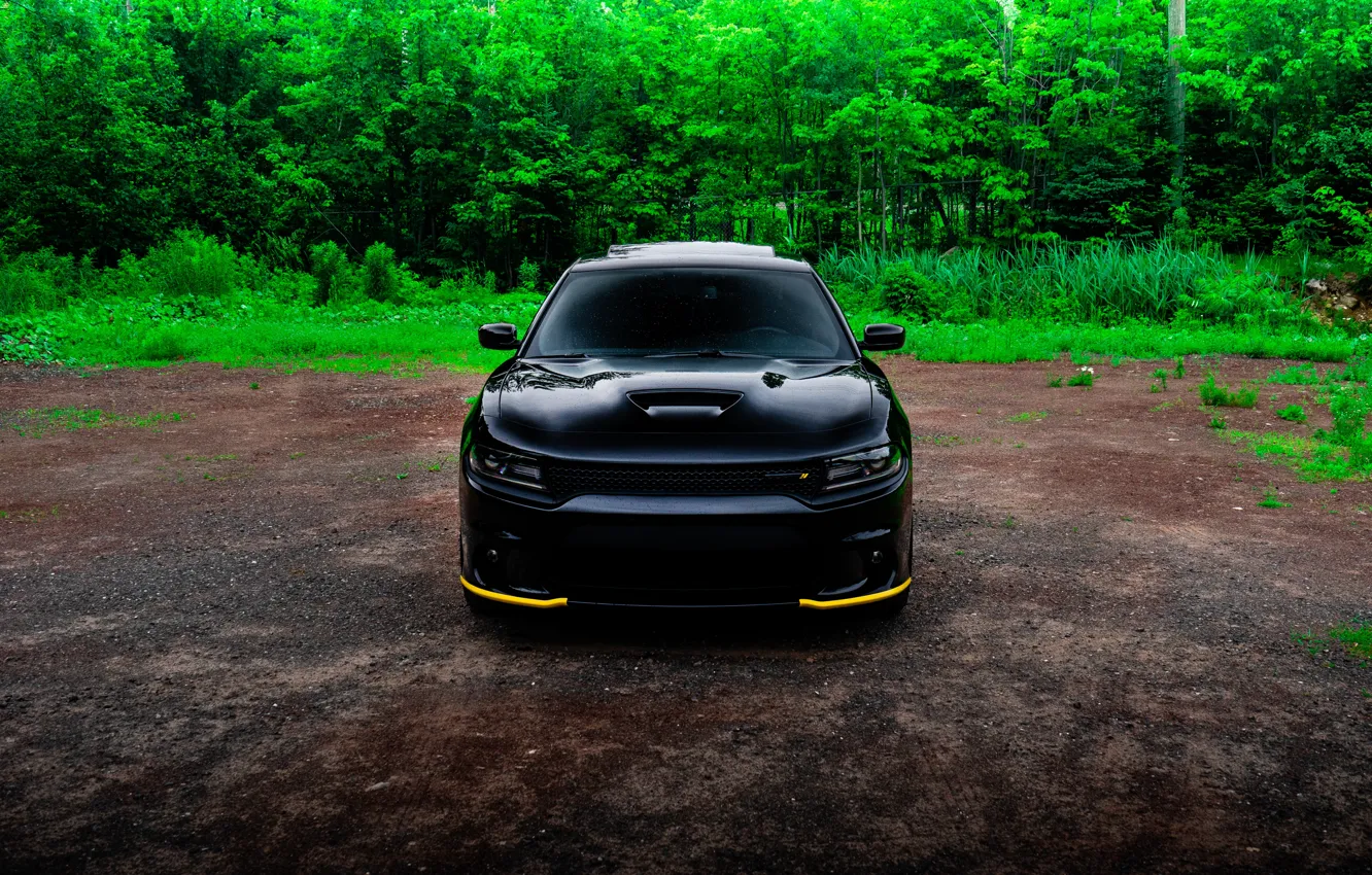 Фото обои Dodge, SRT8, Green, Black, Charger, Yellow, Forest