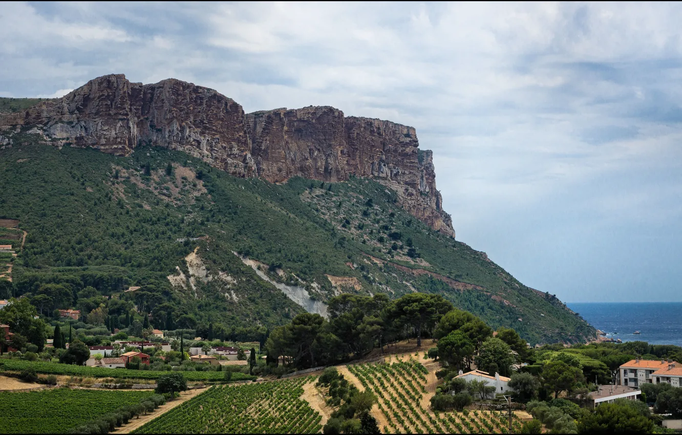 Фото обои Франция, панорама, panorama, France, Кассис, Cassis