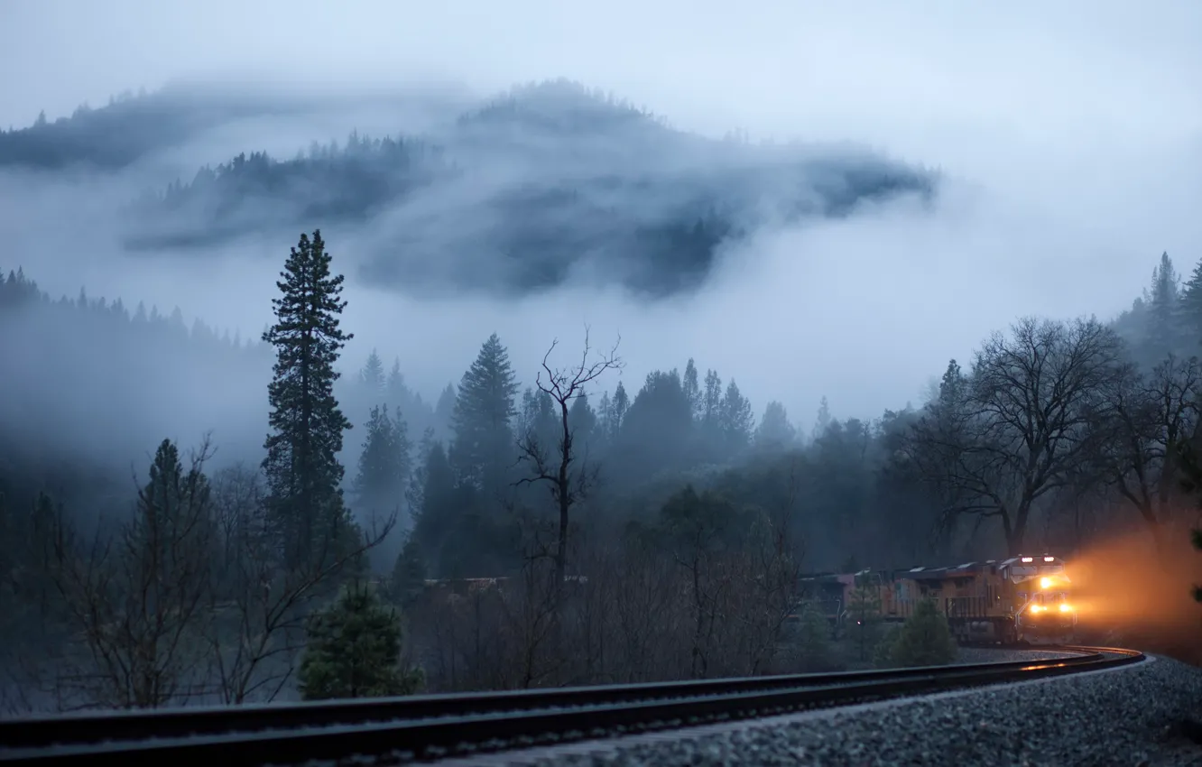 Фото обои лес, туман, утро, жд.поезд