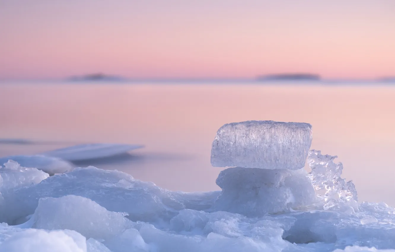 Фото обои зима, макро, закат, лёд