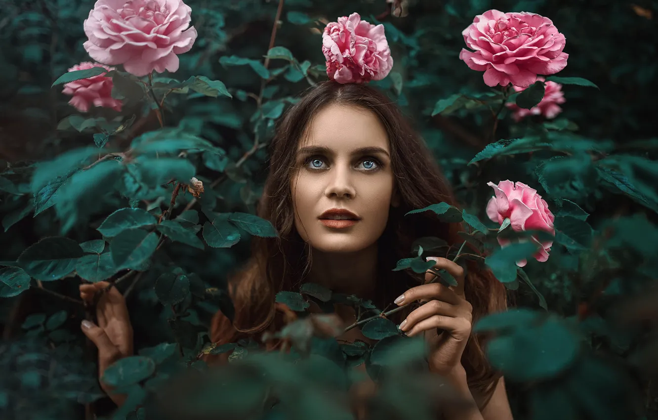 Фото обои девушка, портрет, розы, Турция, Kᴬᴬᴺ ᗩᴸᵀᴵᴺᴰᴬᴸ, Kaan Altindal
