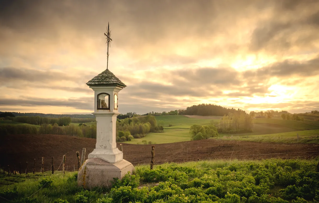 Фото обои поле, лето, закат