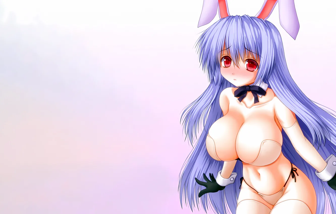 Фото обои girl, sexy, lingerie, pantsu, bra, cleavage, panties, thighhighs