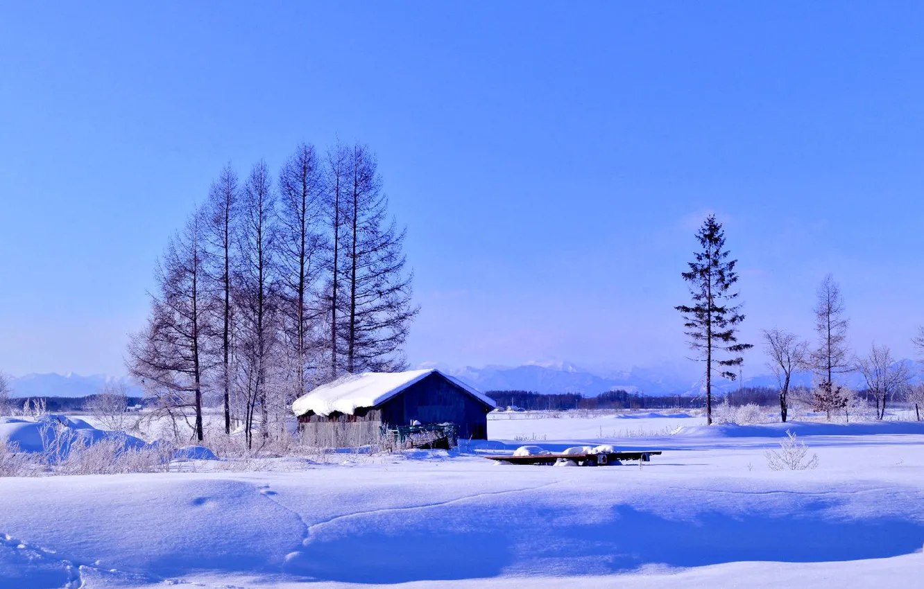 Фото обои зима, небо, снег, деревья, дом, горизонт