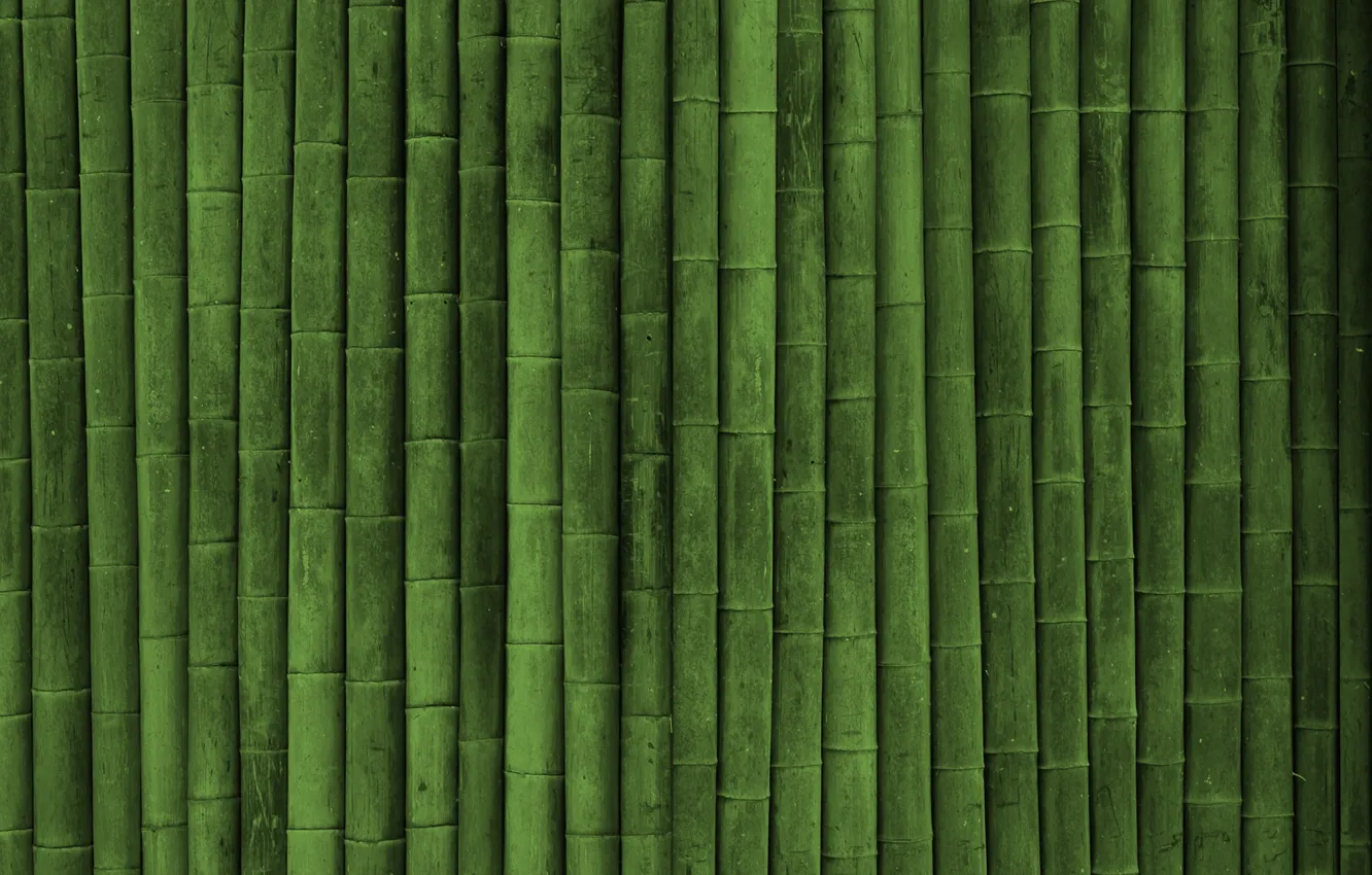 Фото обои бамбук, текстуры green style