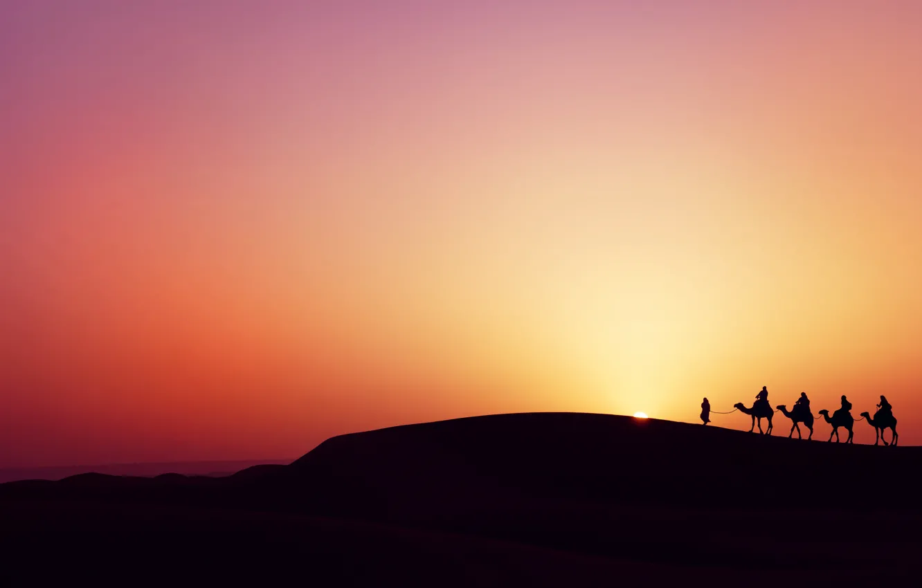 Фото обои закат, пустыня, desert, sunset, верблюды, бедуины, camels, bedouins