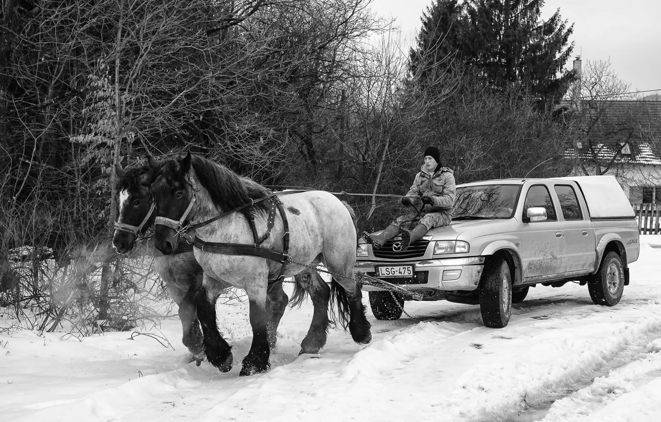 Фото обои зима, машина, деревня, лошади, мазда