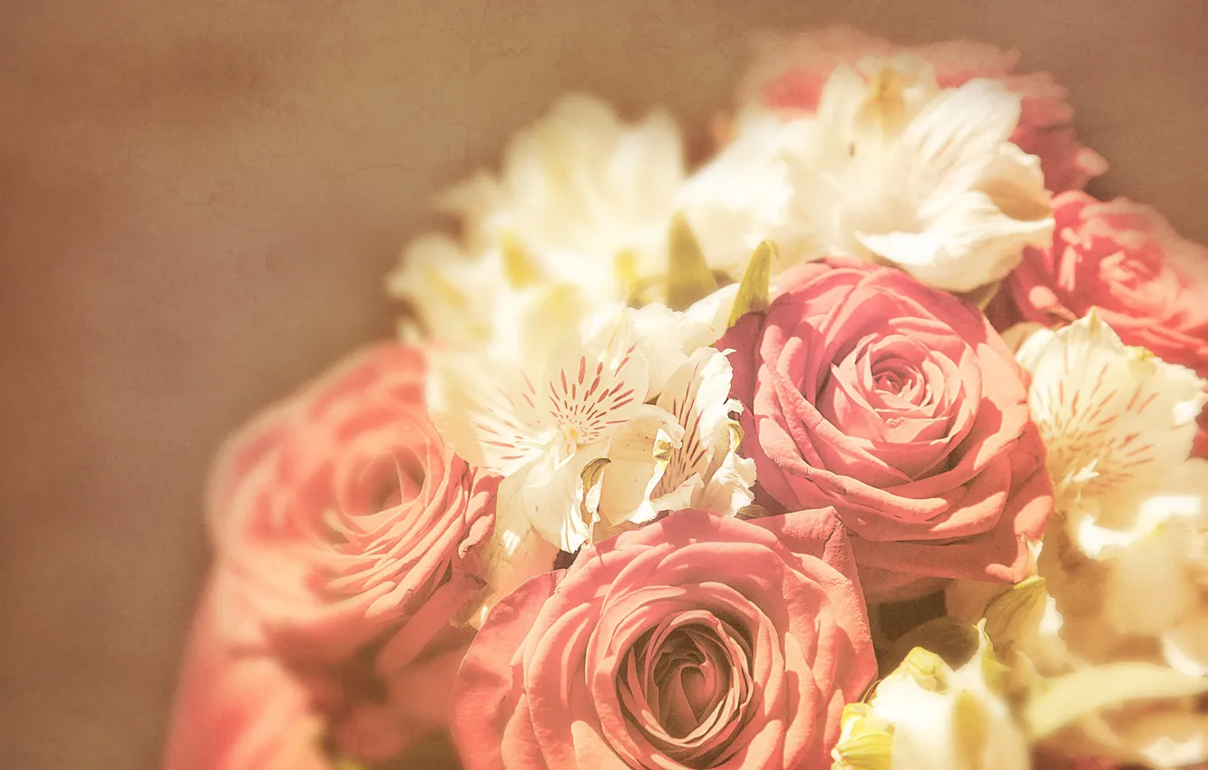 Фото обои свет, фон, розы, букет