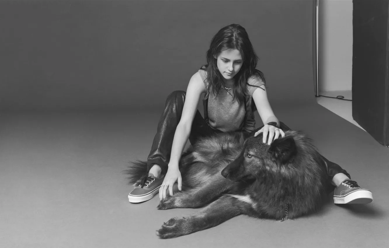 Фото обои девушка, собака, черно-белое, Kristen Stewart, Кристен Стюарт, или волк