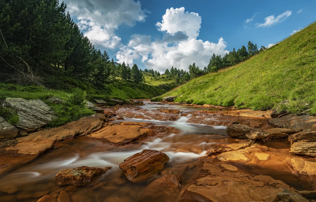 Фото обои лес, облака, река, синева, камни, течение, речка, берега