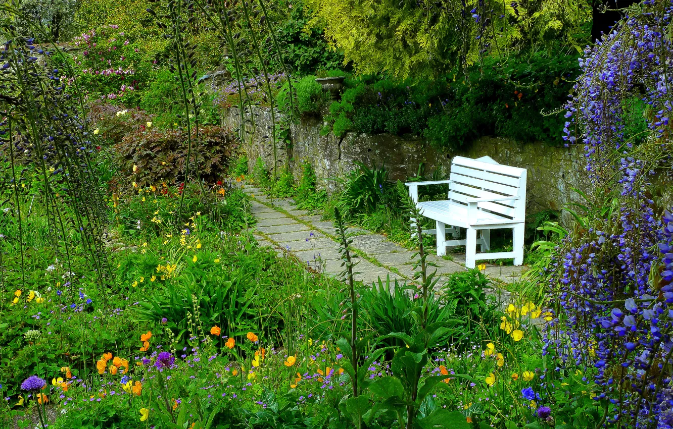 Фото обои цветы, парк, сад, скамья