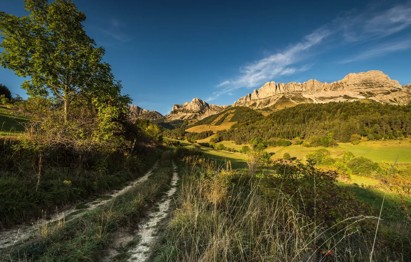 Фото обои дорога, пейзаж, горы, природа, тропа