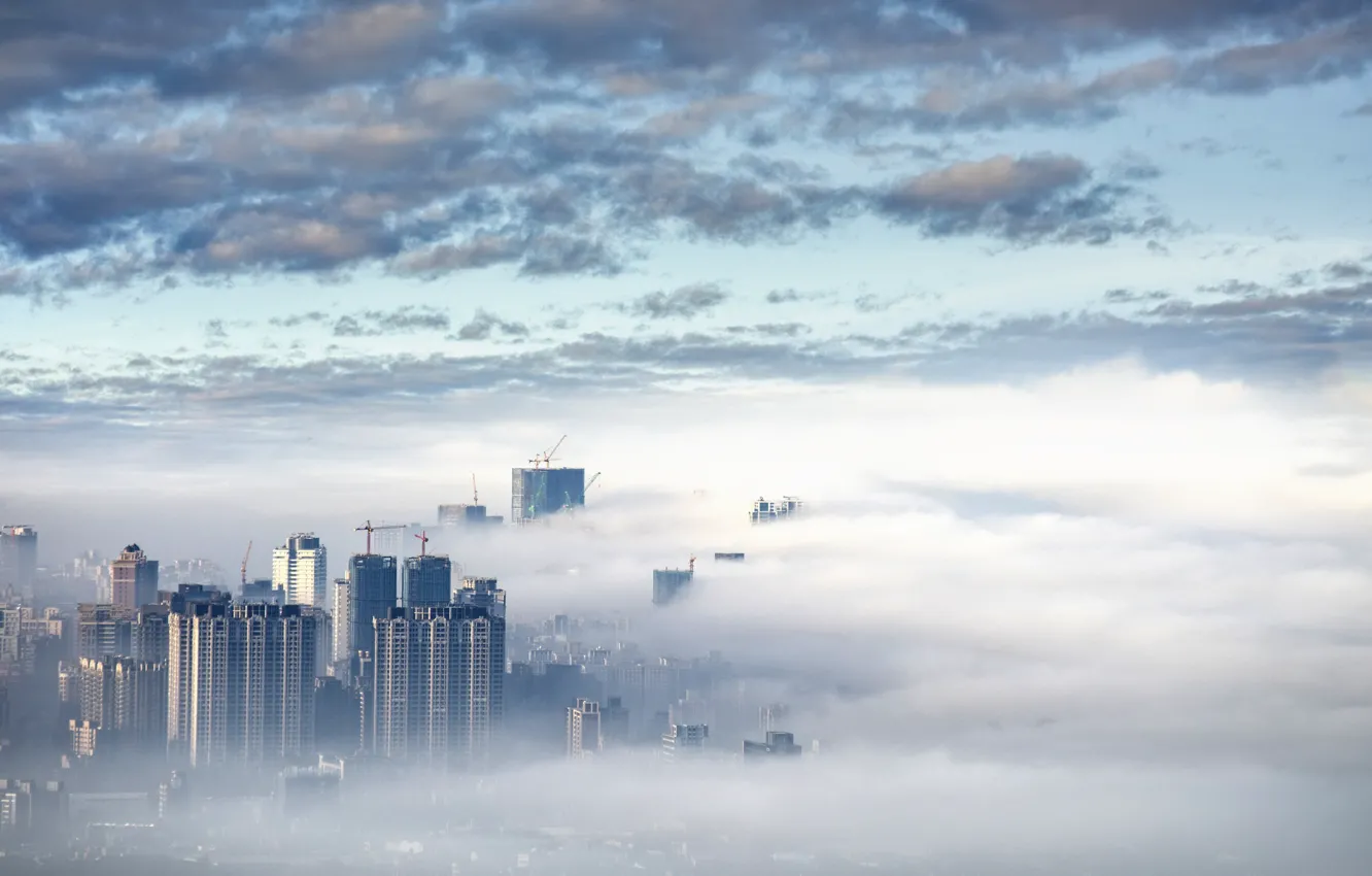 Фото обои небо, город, туман