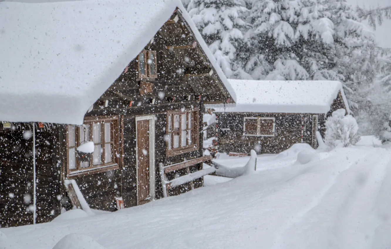 Фото обои Снегопад, Зимний Лес, Snowfall, Winter Forest, Заснеженный Домик, Snow-Covered House