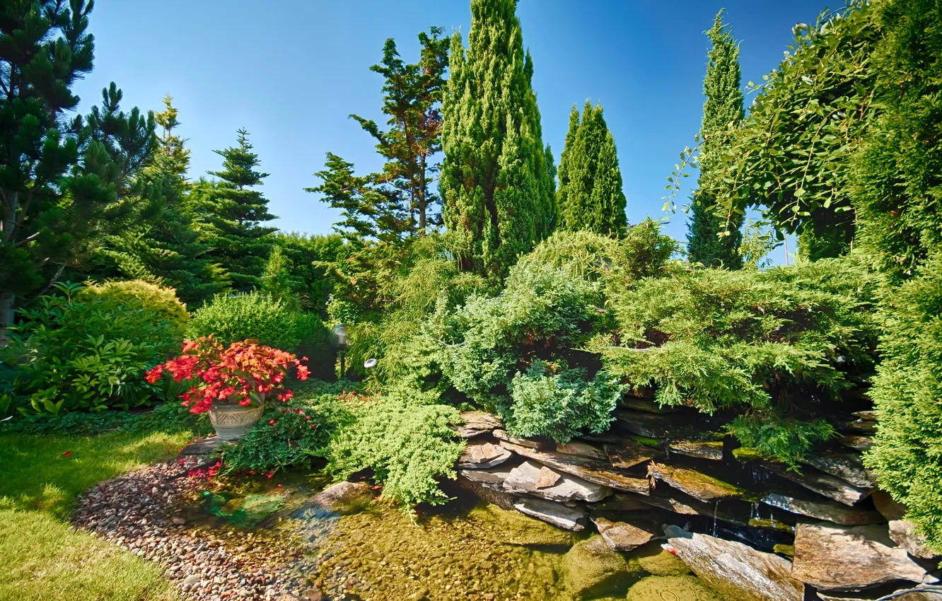 Фото обои вода, деревья, цветы, парк, камни, солнечно, кусты