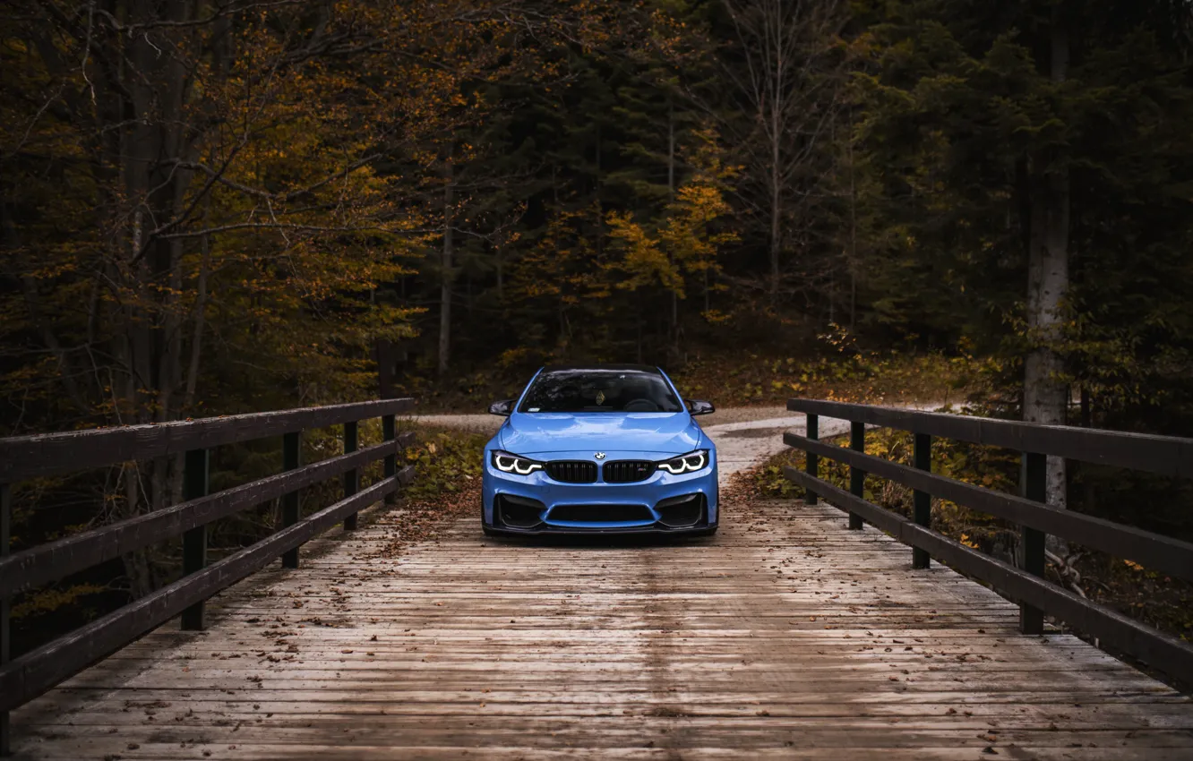 Фото обои BMW, Blue, Autumn, River, Face, F82