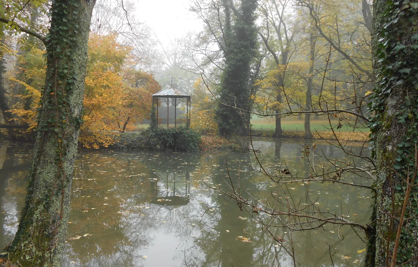 Фото обои Осень, Беседка, Пруд, Парк, Nature, Park, autumn, pond