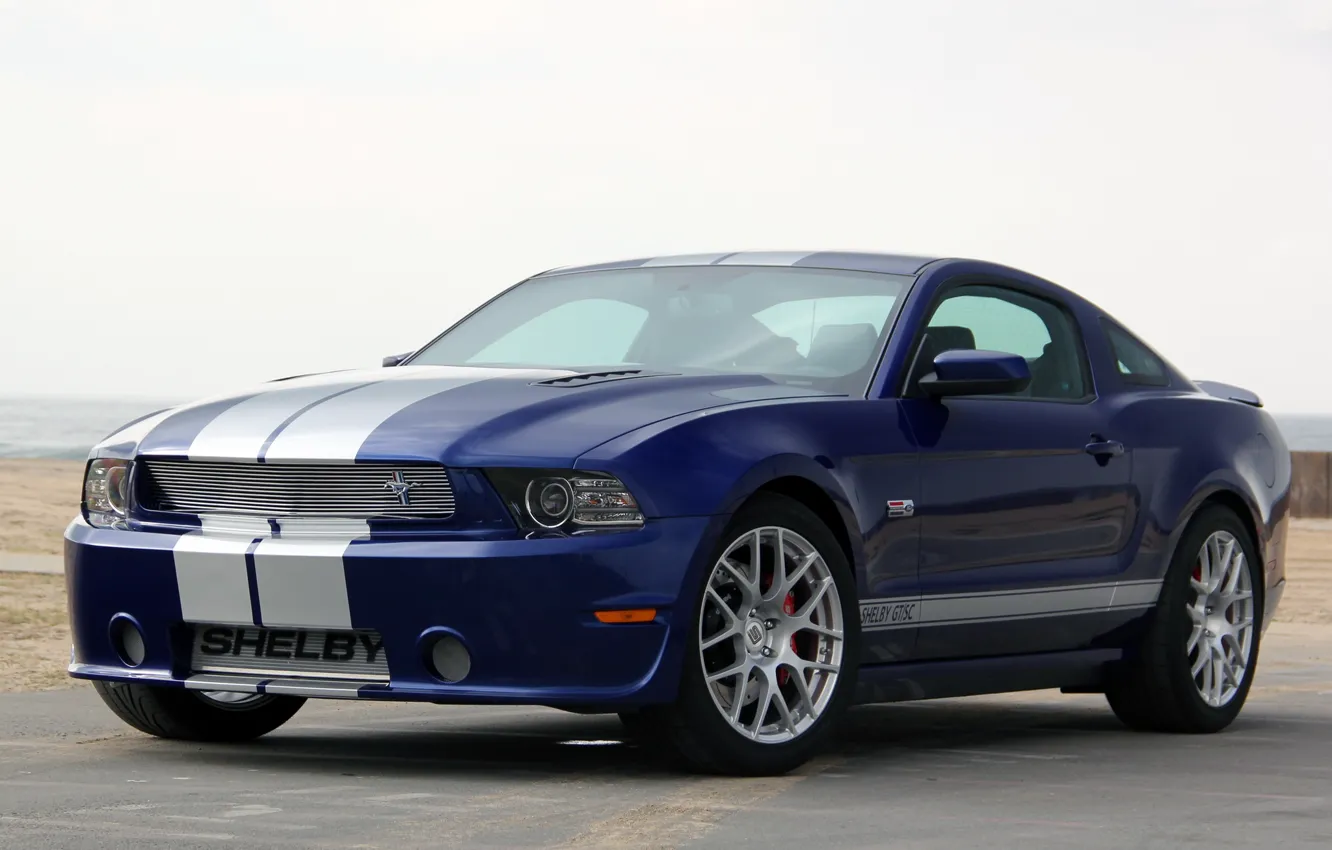 Фото обои Shelby, 2014, GT/SC